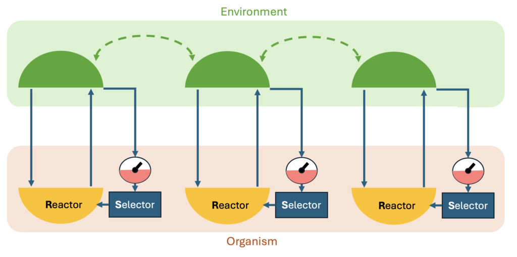 Ashby's diagram of an adaptive mechanism with multiple Essential Variables.